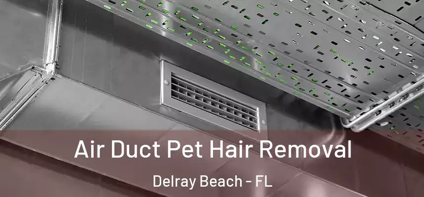  Air Duct Pet Hair Removal Delray Beach - FL