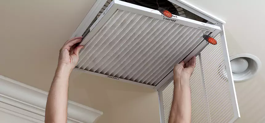 Preventive Cockroach-Proofing for Ducts in Delray Beach