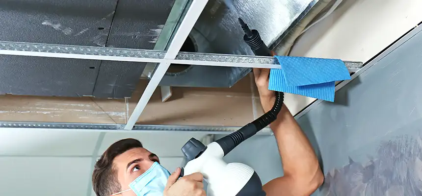 Our Air Duct Rodent Removal Services in Delray Beach, FL