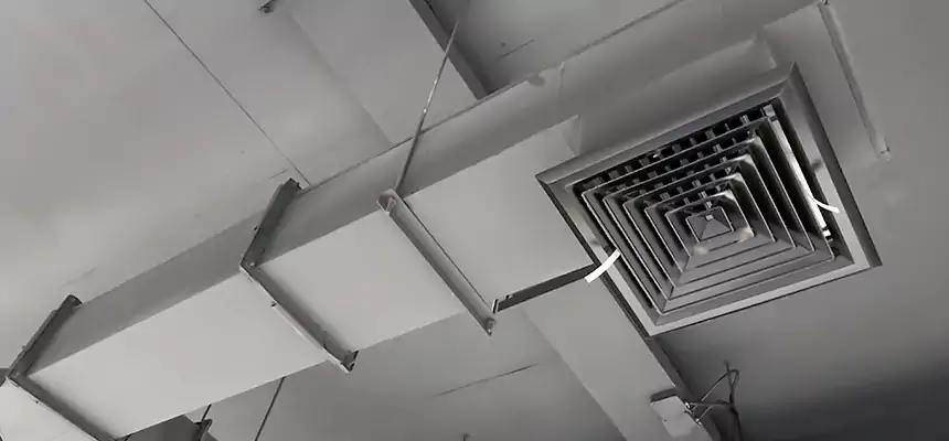 Our Rodent Droppings In Vents Services in Delray Beach, FL