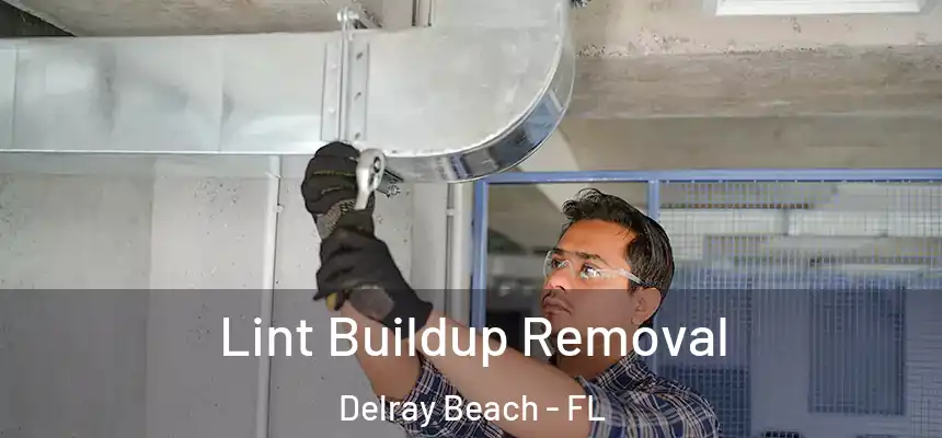 Lint Buildup Removal Delray Beach - FL