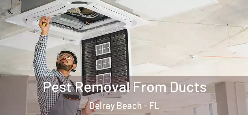 Pest Removal From Ducts Delray Beach - FL