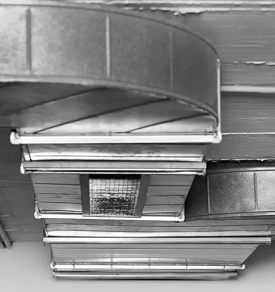 Professional Air Duct Pest Removal in Delray Beach, FL