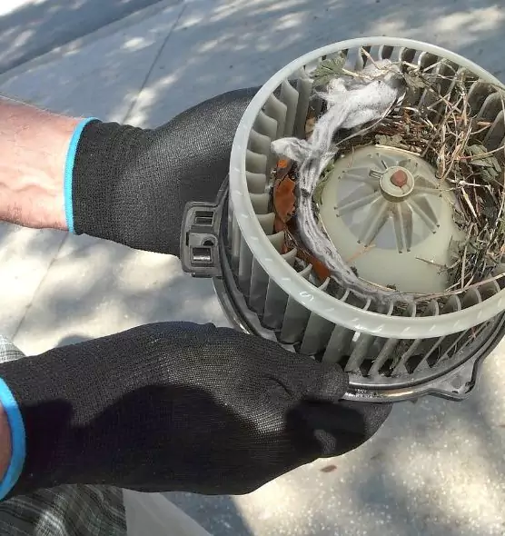 About Air Duct Rat Removal in Delray Beach, FL