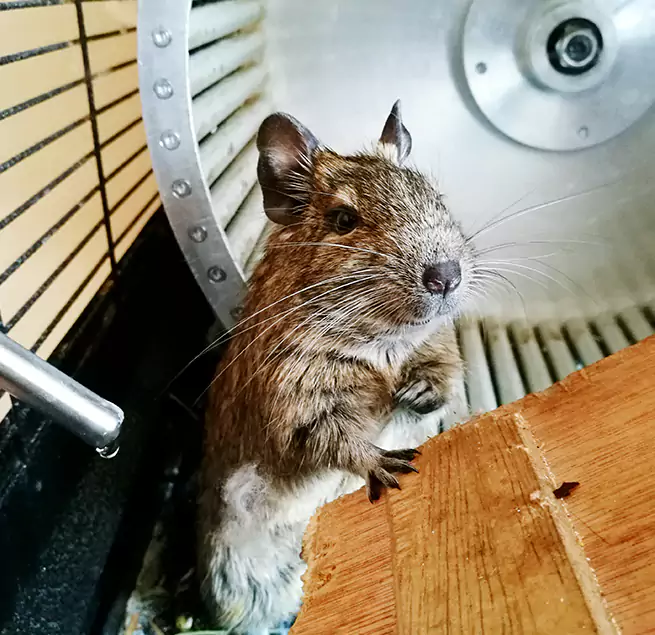 Why Homeowners & Businesses Trust Us Delray Beach, FL