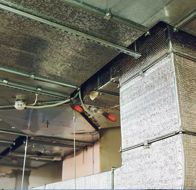 Why Homeowners & Businesses Trust Us Delray Beach, FL?